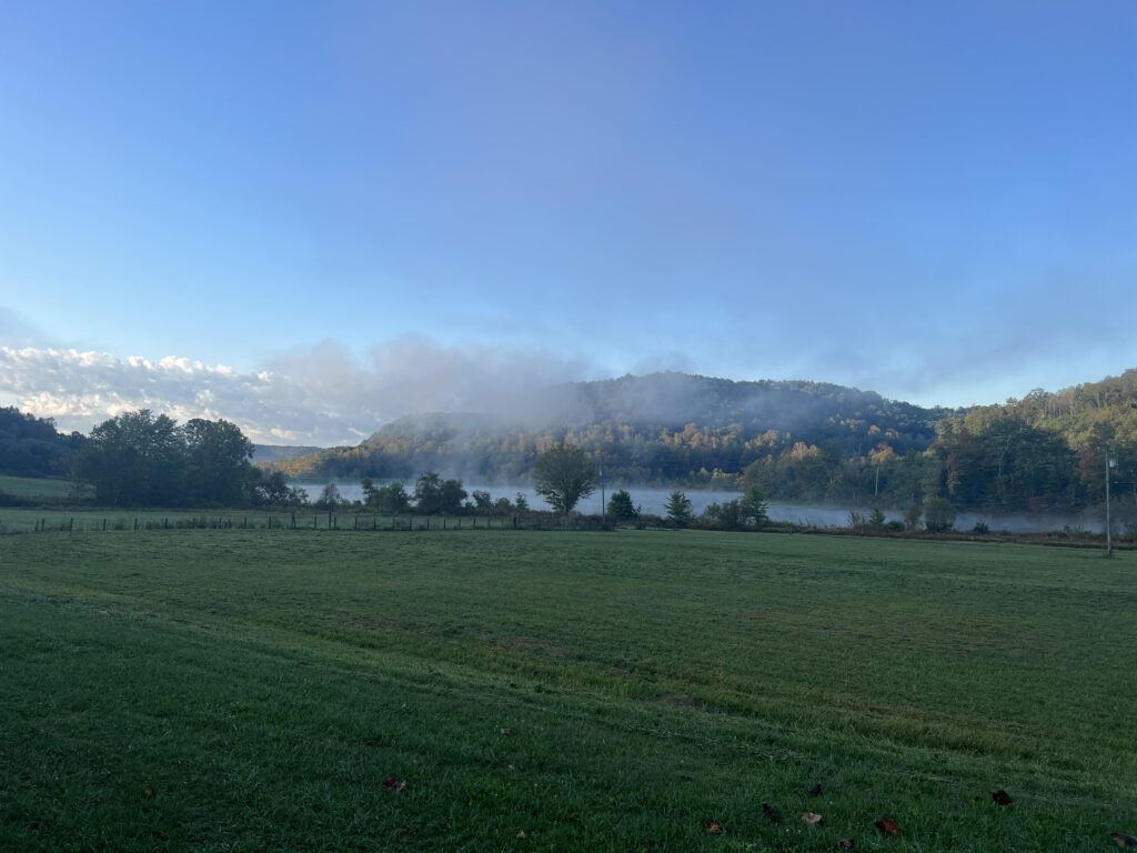 Morning mist over the farm